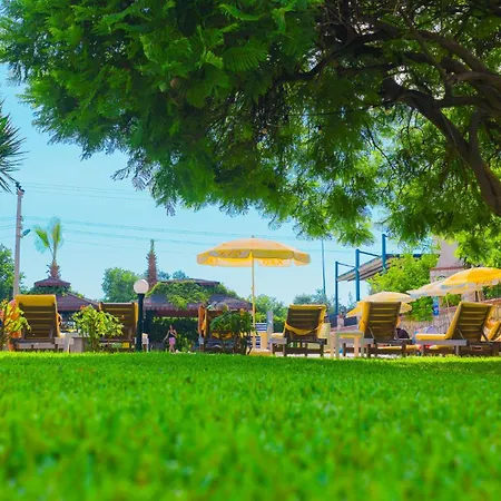 بيزاي فندق 3*