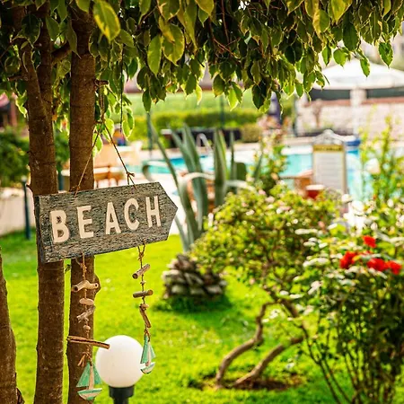 بيزاي فتحية